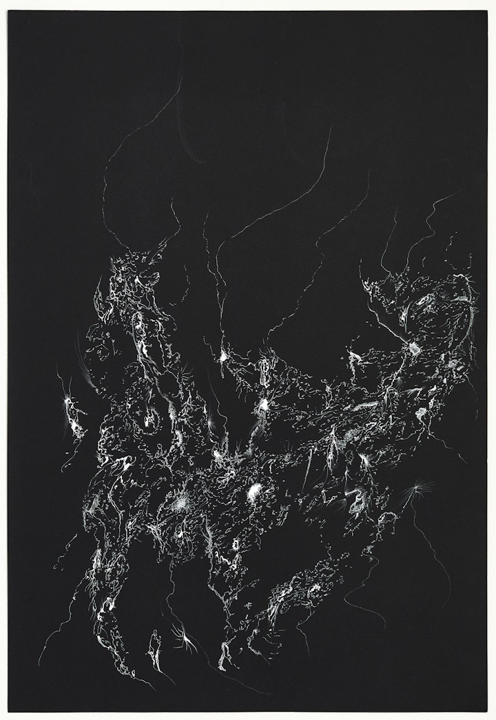 Works on Black Paper - Stag's Constellation, 2023, Ink on paper, 56.5x76cm, 22.2x30 inches. Photo by Laura Hutchinson