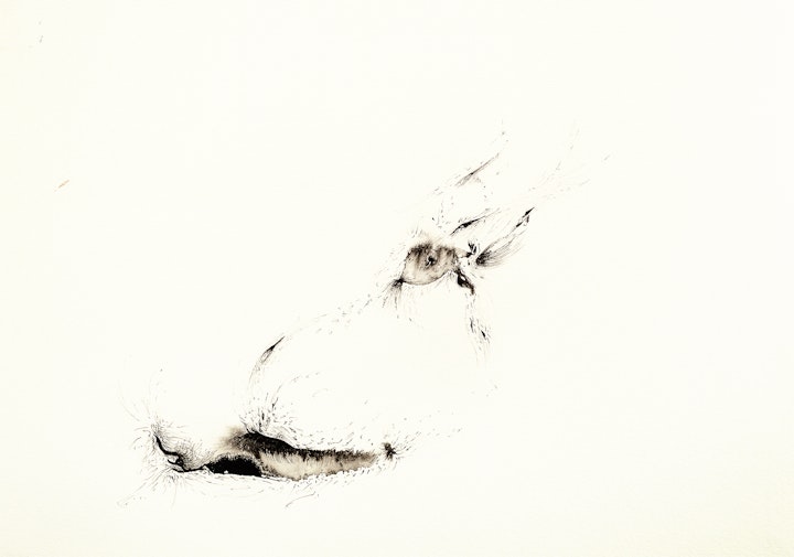 Ink - Sea Slug and the Flying Guppie, 2020, Ink on paper, 29x21cm. Photo by Ellie Walmsley