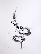 Artistic Response to Research - ‘The Melancholia of Thomas Lawton’ 25cm x 32cm India Ink, Nib Pen & Brush, 2022
