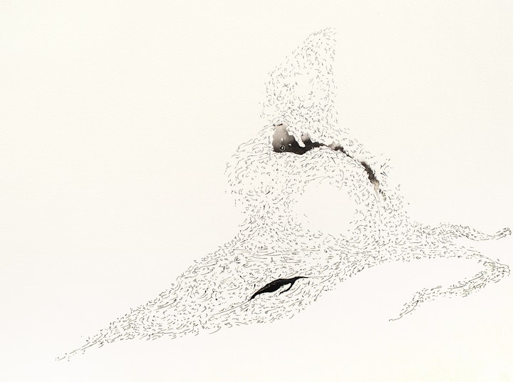 Ink - Whale’s Mother Tongue, 2022, Ink on paper, 32.5x25cm. Photo by Ellie Walmsley