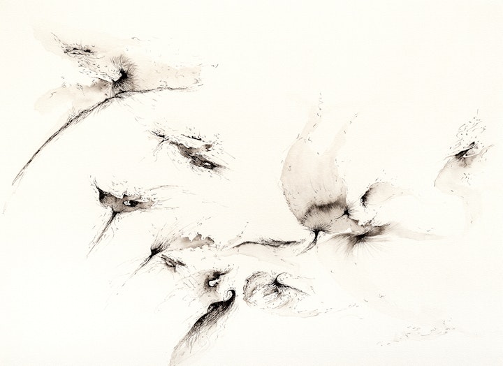 Ink - As the Firebirds Alight, 2020, Ink pen on paper, 32.5x25cm. Photo by Ellie Walmsley