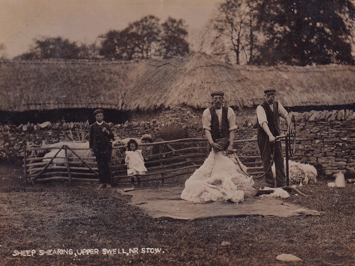 Sheep shearing, Upper Swell, near Stow.