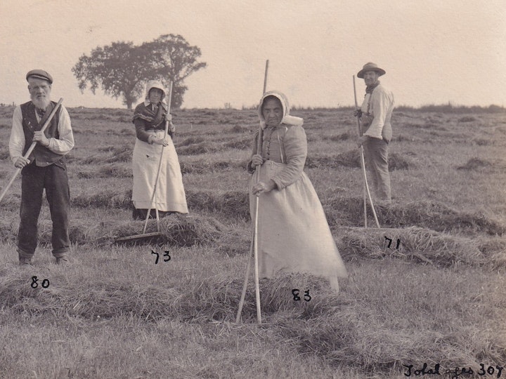 Haymakers photographed on September 24th 1912 presumably in the Cotswolds as the photographer was based in Cirencester.