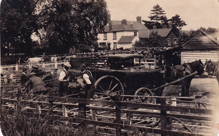 Photograph (not postcard) of Charfield Market in Gloucestershire