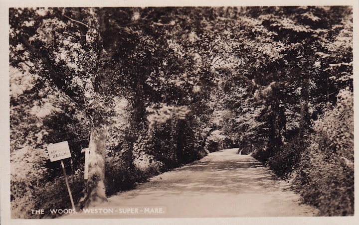 Postcard of the Woods on the way to Kewstoke Beach near Weston-Super-Mare in Somerset.