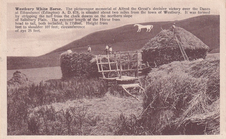 Postcard of haymaking in Westbury in Wiltshire with the famous white horse in the distance - posted 12th July 1914 (R. Wilkinson & Co., Trowbridge - Printed in Germany).