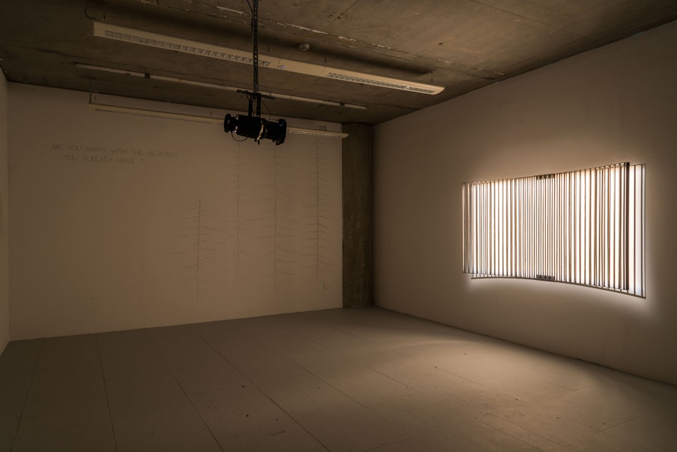 Liwia Dekert, installation, screen, steel and light -