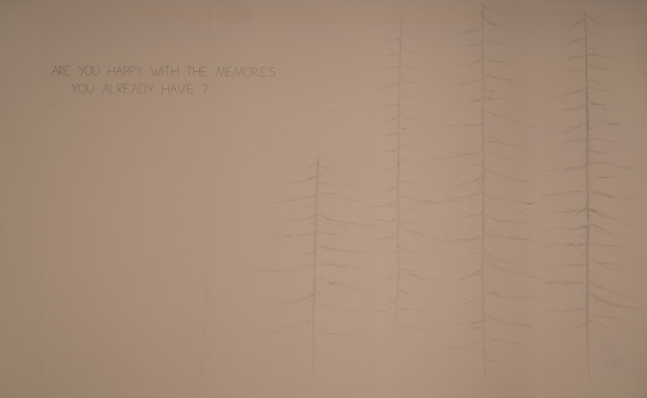 Liwia Dekert, installation close up, are you happy with the memories you already have? Graphite on wall -