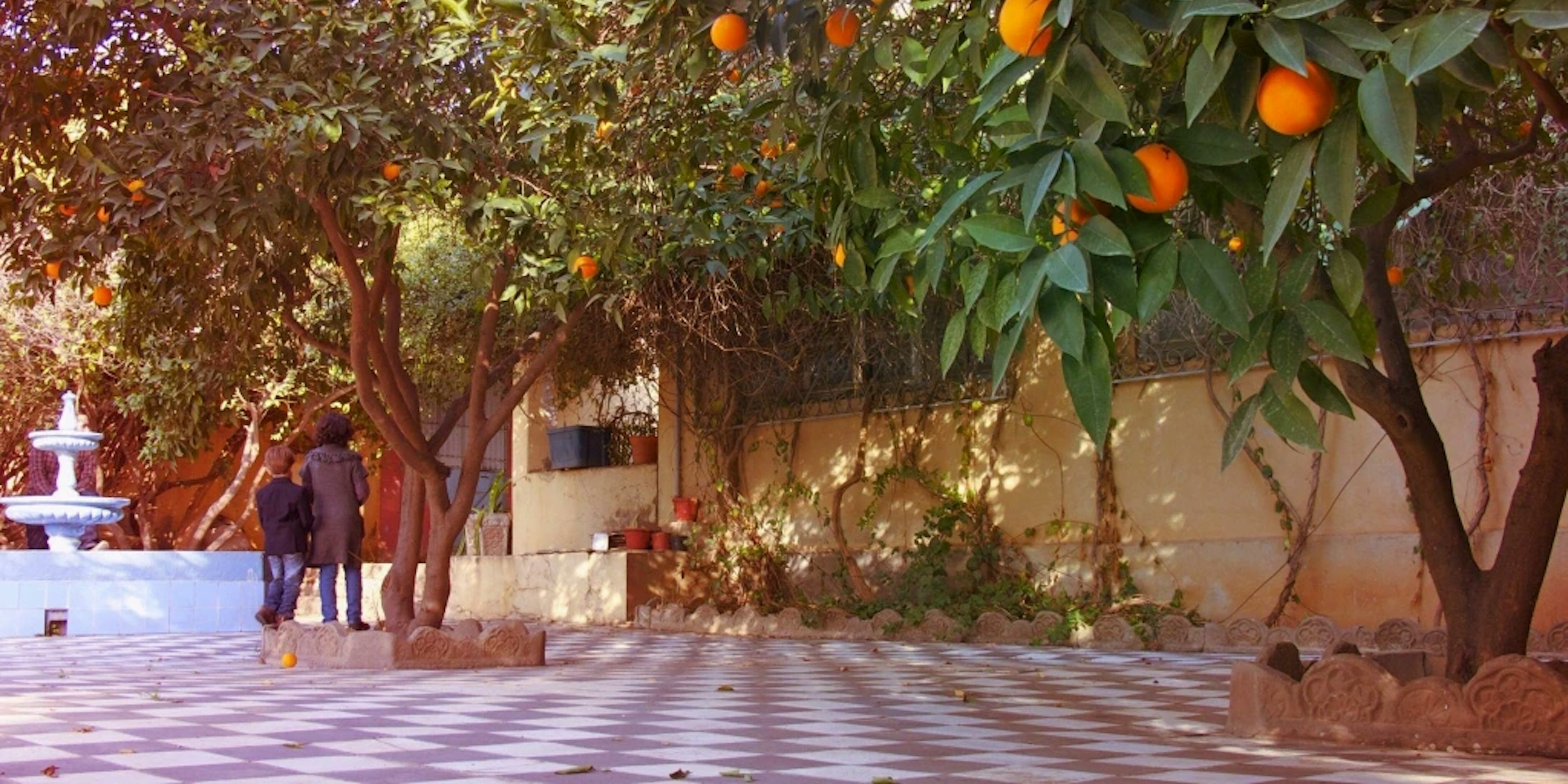 In my grandmother’s Algerian garden / U Alžirskom vrtu moje bake / Dans le patio de ma grand-mère algérienne