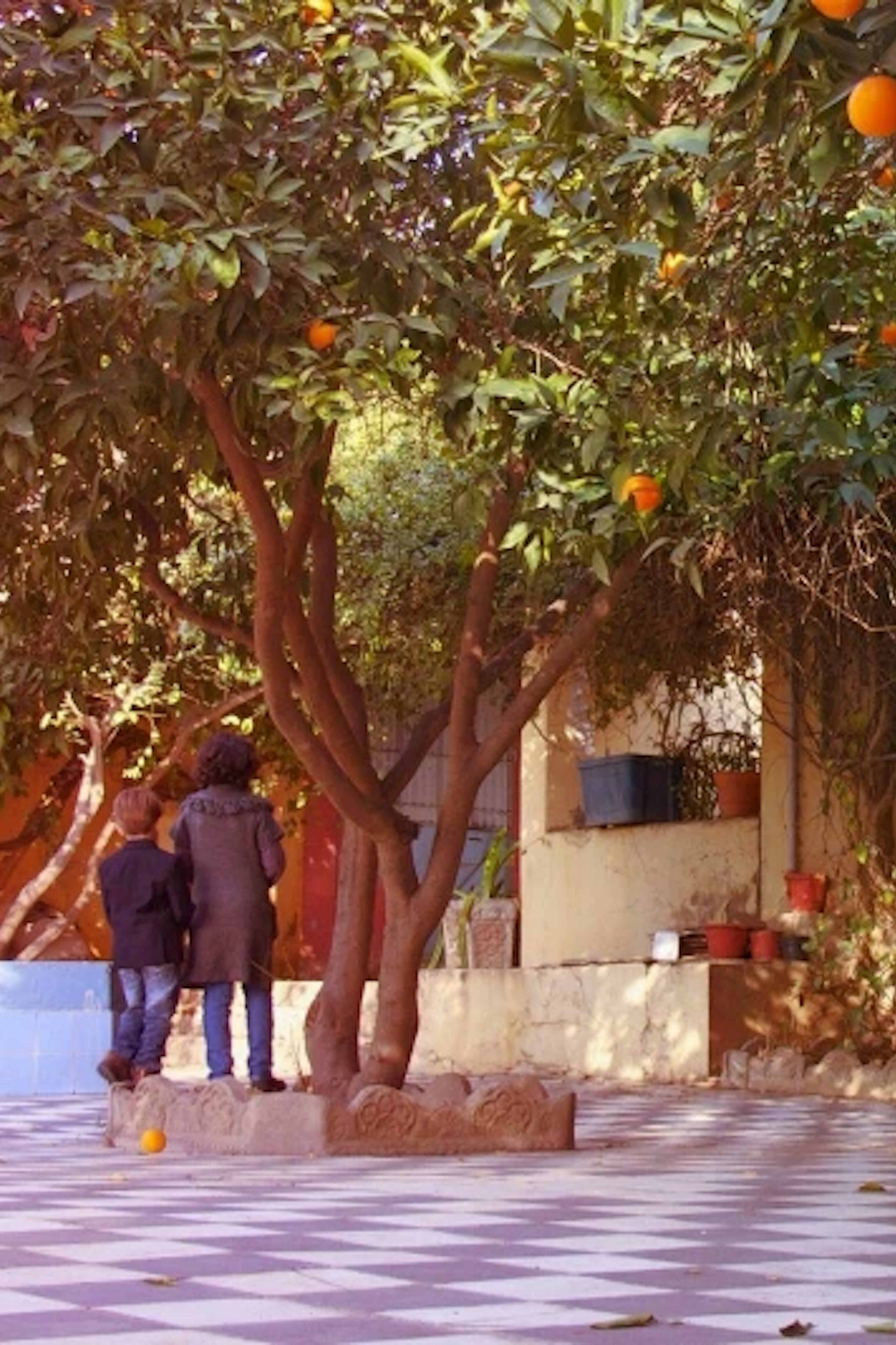 In my grandmother’s Algerian garden / U Alžirskom vrtu moje bake / Dans le patio de ma grand-mère algérienne