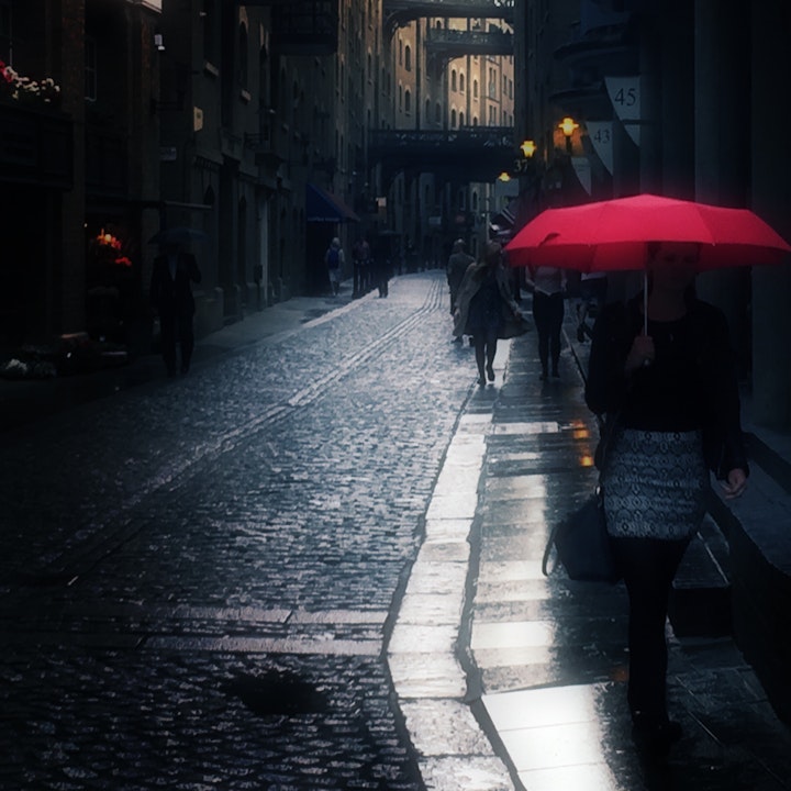 Jasmina Bolfek-Radovani - Heart monologues for Pula: “does a rose lose its colour in the rain?”