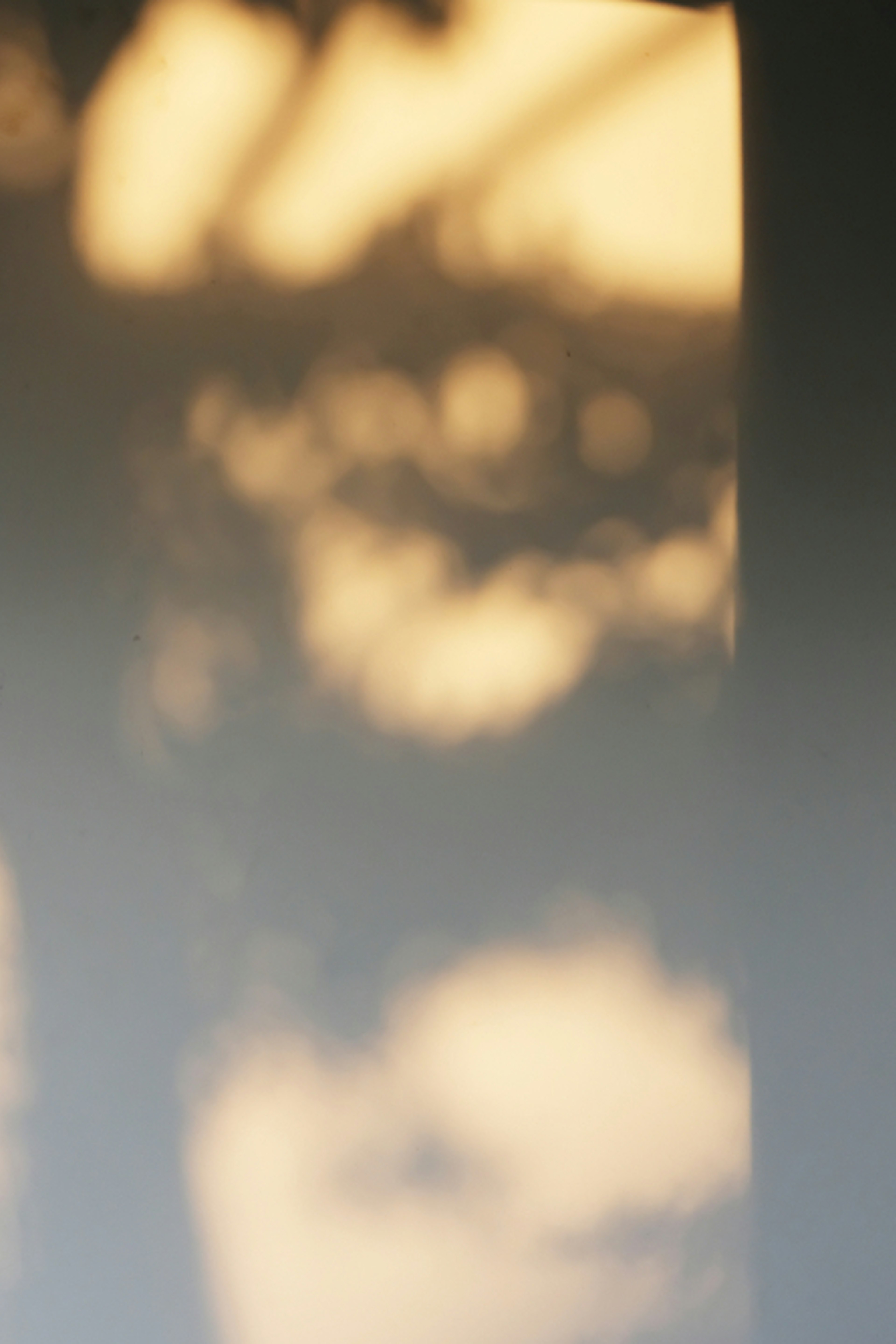 “Reveries about language”: challenges and opportunities of performing multilingual poetry