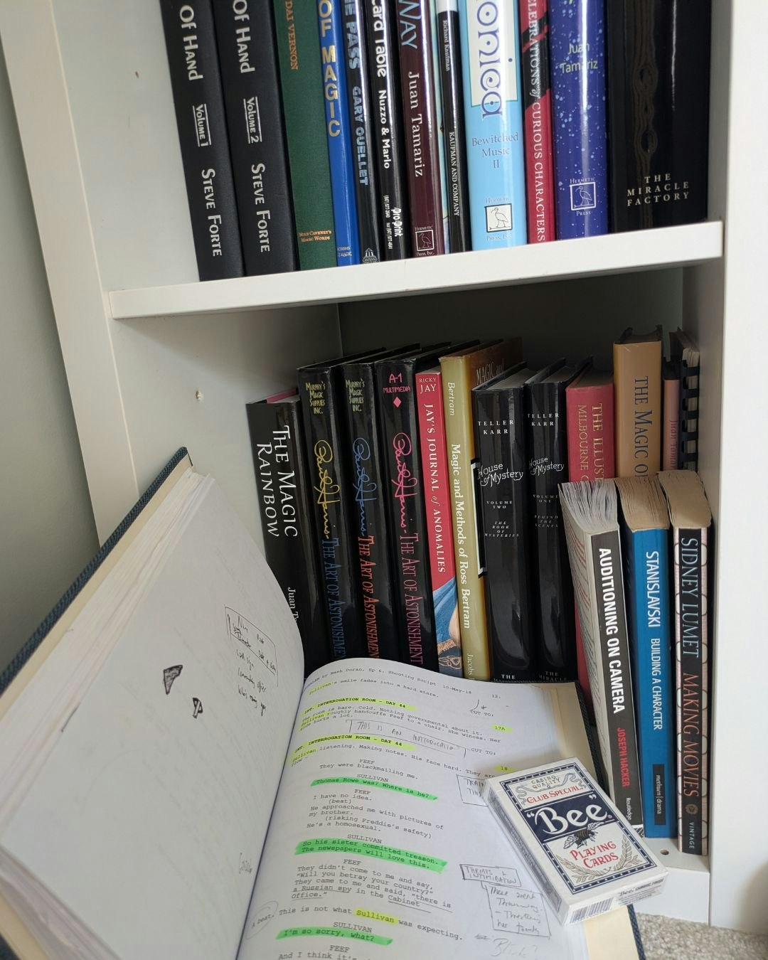 Magic books and acting scripts on Brendan Patricks' bookshelf