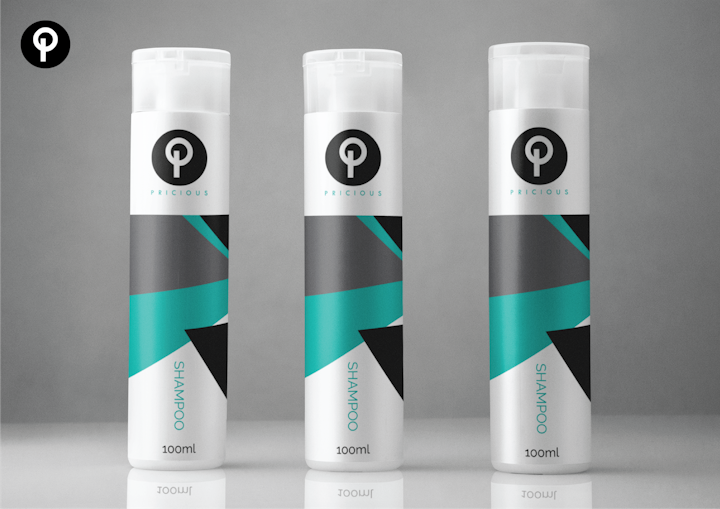Pricious Website Image 4-01