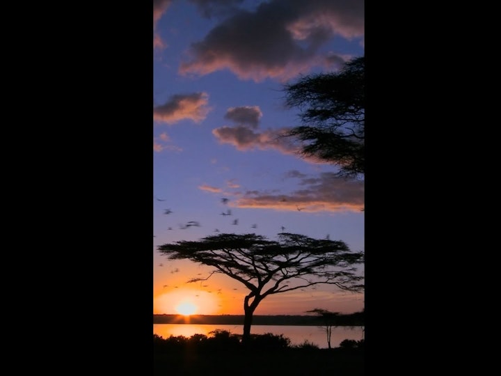 UAA Roots2Africa 2022 - Vertical Promotional Video