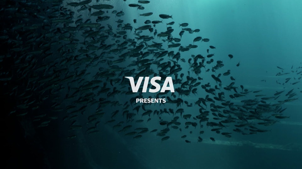 VISA - VOICES OF ACCESS
