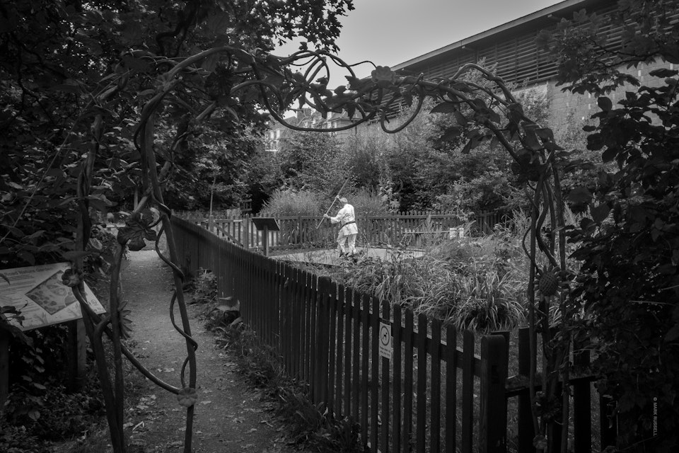 Street Folio I - A man practices martial arts at a nature garden in Camberwell, south London