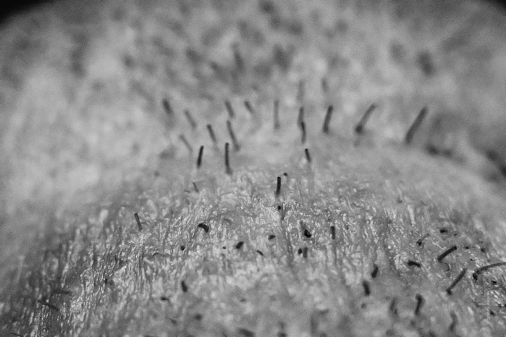 Macro super-closeup of shaven stubble hair in black and white.