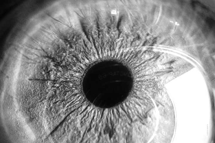 Macro super-closeup of an iris, pupil and eye in black and white.