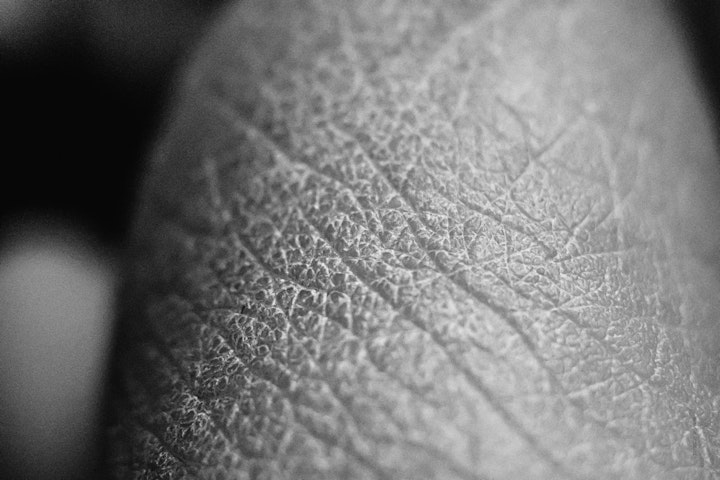 Macro super-closeup of skin in black and white.