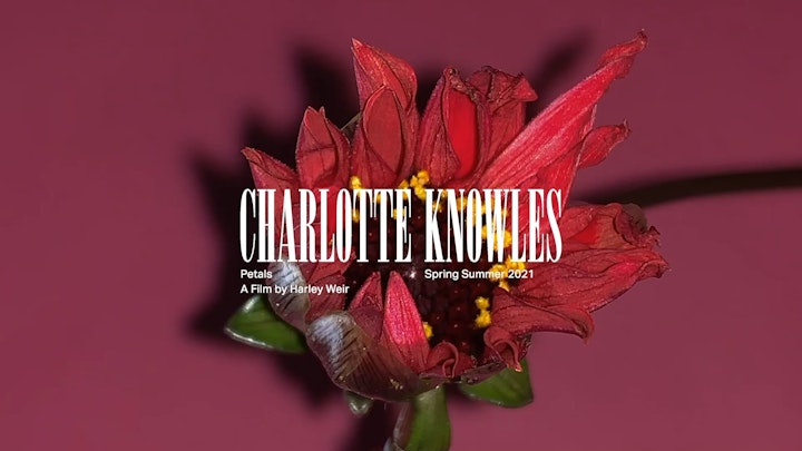 Charlotte Knowels - Petals SS2021