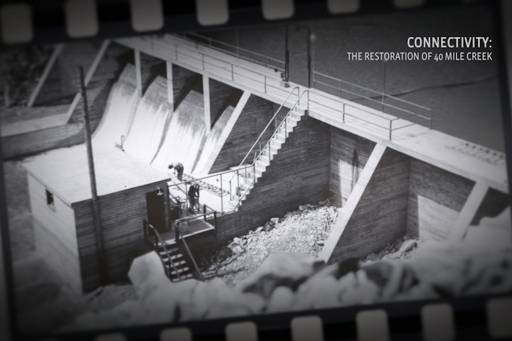 Connectivity: The restoration of 40 Mile Creek