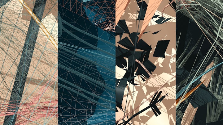 Floral Botanical Collection | Contemporary Abstract Art