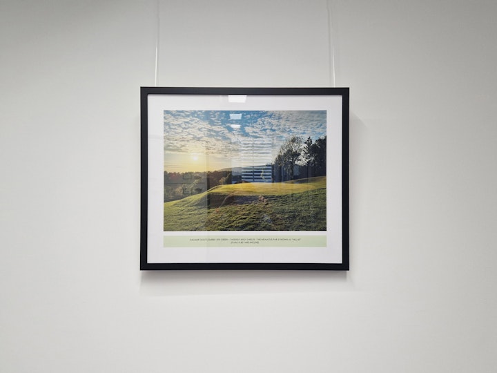 New project | Printing + Framing | Thesis Asset Management
