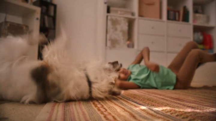 PDSA - The Cost of Loving