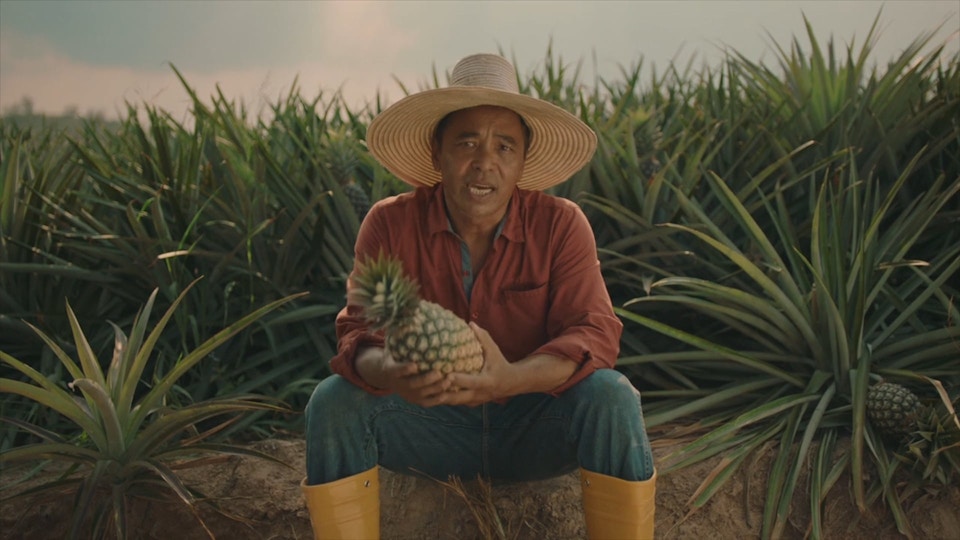Dobry Traceability Pineapple Thailand / Why not