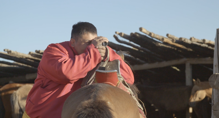 Screen Shot 2019-01-08 at 7.26.34 PM