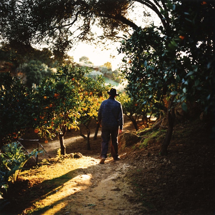 still jungle2c -