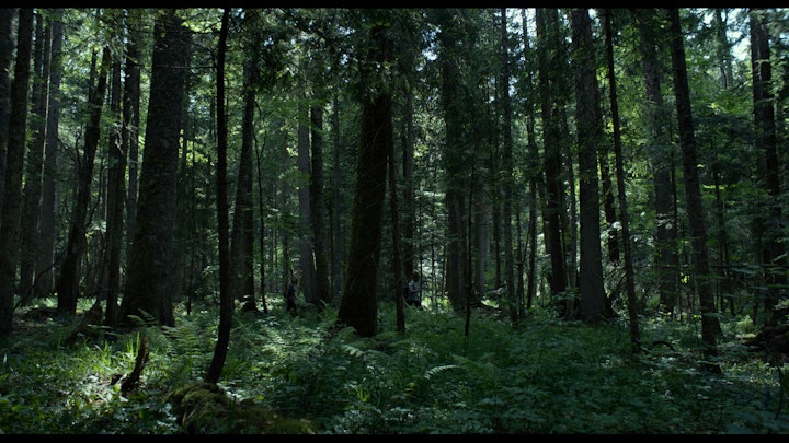 THE FOREST - FOREST_R4_stills.00347300