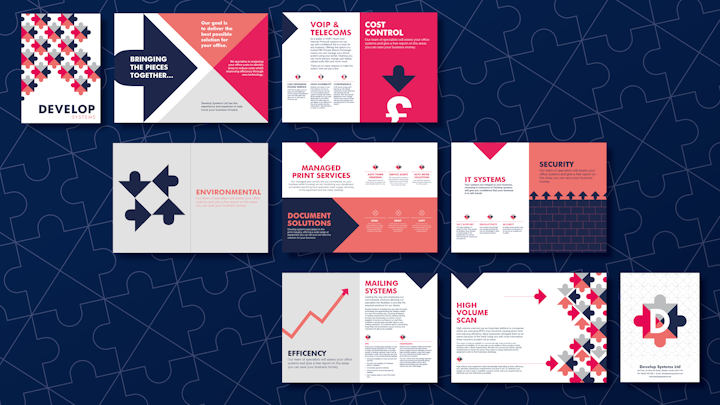Client: Develop Systems Ltd. Promotional brochure highlighting the company's offer. The sections are broken up using a motif from the company logo as an illustrative element.