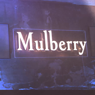Mulberry My Local Series - London