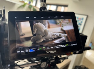 Bear Minimum Short Film