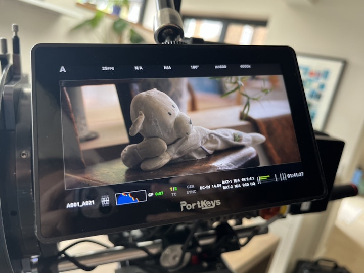 Bear Minimum Short Film
