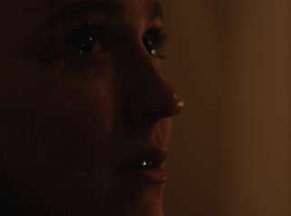 The Bears and the Birds Short Film