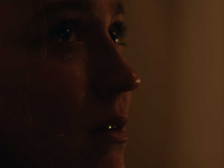 The Bears and the Birds Short Film