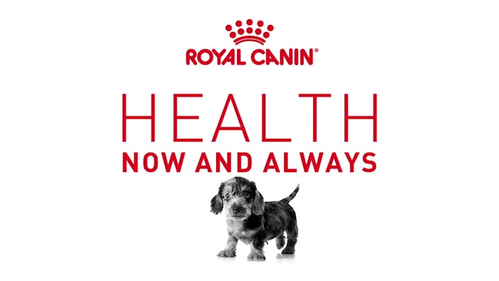 Royal Canin - Healthy Now and Always - 