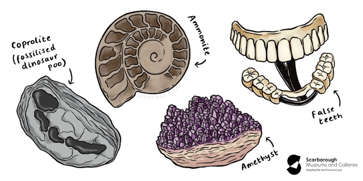 Rotunda Museum Objects