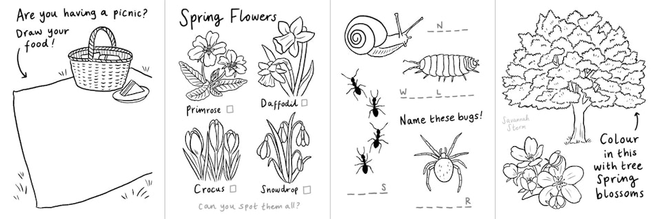 Mini Scavenger Hunt - Illustrations from a scavenger hunt booklet, with line drawings to colour in and nature themed activities to complete.