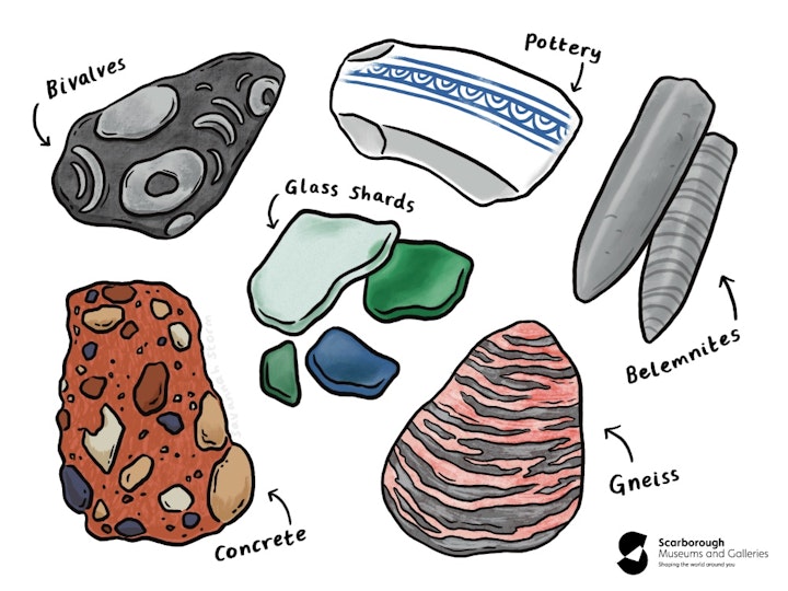 Beachcombed Treasures