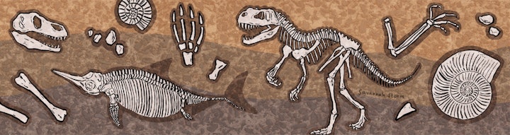 Jurassic Fossils - Illustrations of Jurassic fossils under the ground, showing a dinosaur skeleton, bones, rocks, a fossilised fish, a T-Rex skull and an ammonite.
