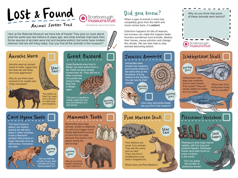 Lost and Found Museum Trail - Museum fossil trail worksheet with illustrations of animals and tick boxes for exploring the exhibits.
