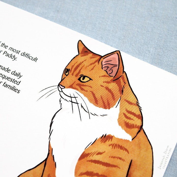 Cats Protection Postcards - Printed postcard with an illustration of a fluffy ginger and white cat, to promote the National Cat Awards for Cats Protection charity.