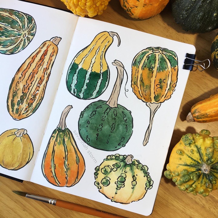 Sketchbooks - A sketchbook page of colourful autumnal gourds, illustrated using ink and watercolour paints.