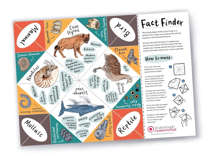 Lost and Found Museum Trail - Museum trail 'Fact Finder' - fortune teller style folded papercraft with illustrations of animals and fossils.