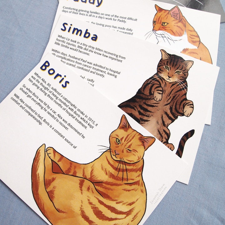 Cats Protection Postcards - Printed postcards with illustrations of various cats, to promote the National Cat Awards for Cats Protection charity.