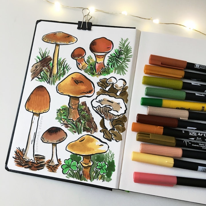 Sketchbooks - A sketchbook page of colourful autumnal mushrooms, illustrated using ink and marker pens
